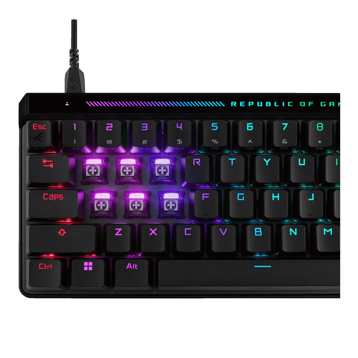 ASUS ROG FALCHION ACE HFX (M605) 65% Analog Gaming Keyboard with ROG HFX Magnetic Switches