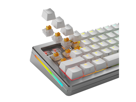 Glorious HE Switches (36pcs) - Panda