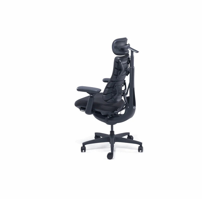 LIBERNOVO HK CO., LIMIT LiberNovo Omni Ergonomic stol - 48 cm Sort