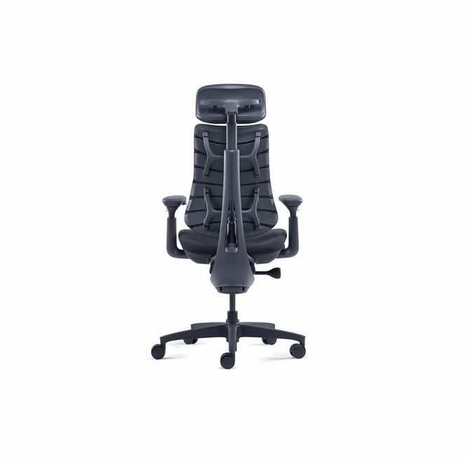 LIBERNOVO HK CO., LIMIT LiberNovo Omni Ergonomic stol - 48 cm Sort
