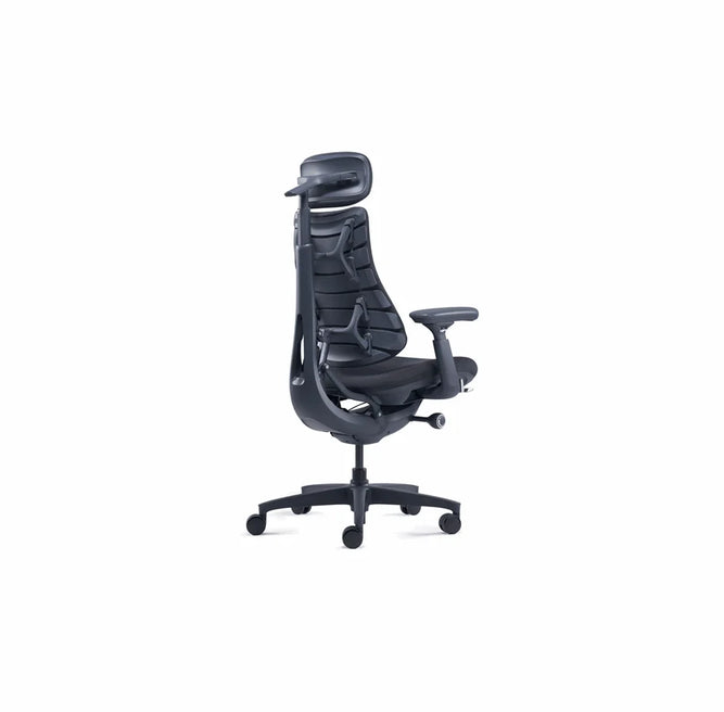 LIBERNOVO HK CO., LIMIT LiberNovo Omni Ergonomic stol - 48 cm Sort