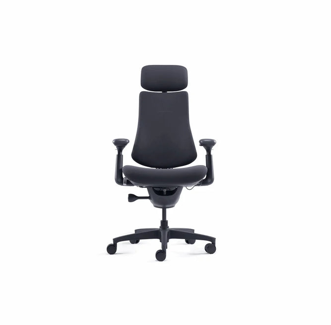 LIBERNOVO HK CO., LIMIT LiberNovo Omni Ergonomic stol - 48 cm Sort