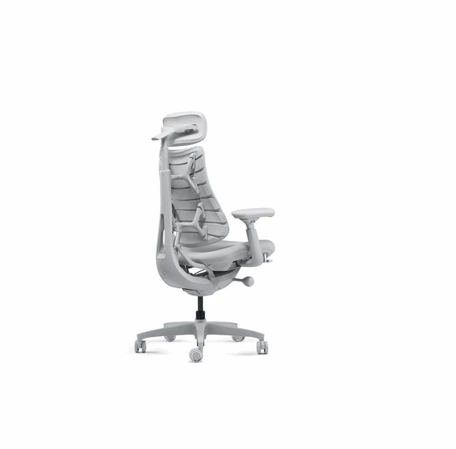 LIBERNOVO HK CO., LIMIT LiberNovo Omni Ergonomic stol- 48 cm Grå