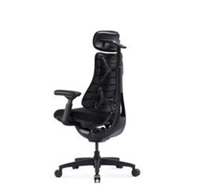 LIBERNOVO HK CO., LIMIT LiberNovo Omni SE Dynamic Ergonomic stol - Sort