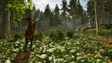 Park Ranger Simulator