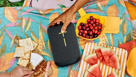 Logitech - Ultimate Ears EPICBOOM