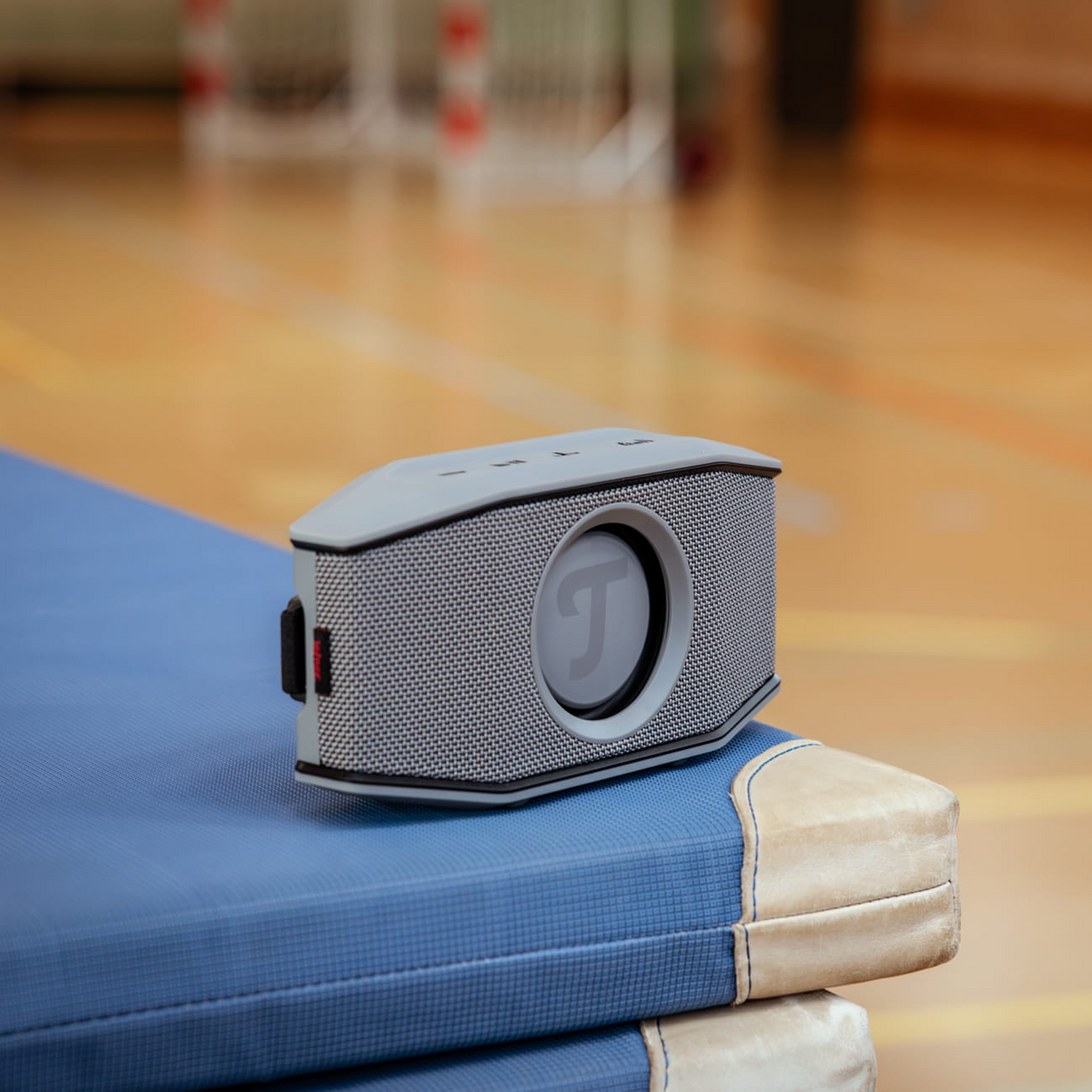 Teufel ROCKSTER GO 2 Bluetooth Speaker wireless gray black