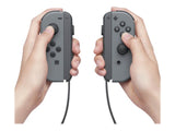 Nintendo Switch Gray Joy-Con